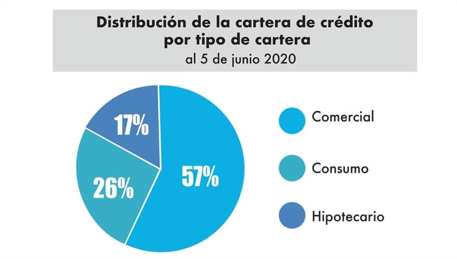 gráfico circular de la distribución de la cartera de crédito por tipo de cartera